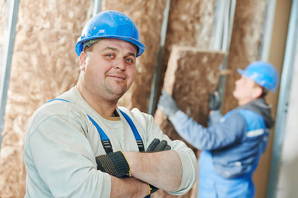 Best Insulation Maintenance and Repair in Panguitch, UT